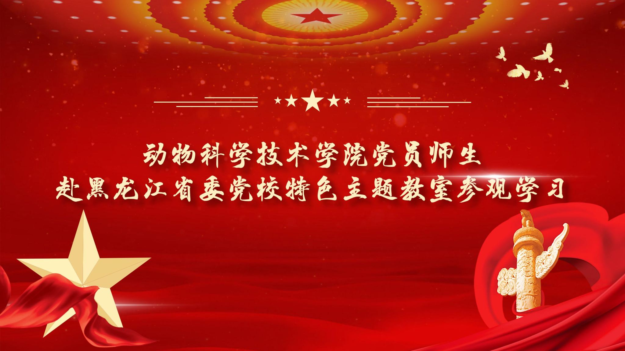 中国新闻网