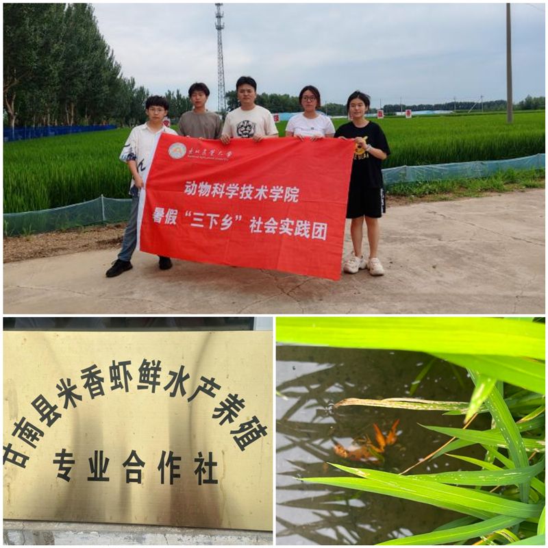 情牵东农厚土 同心共赴新程－星空体育