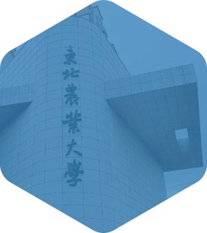 哈尔滨工业大学仪器科学与工程星空体育