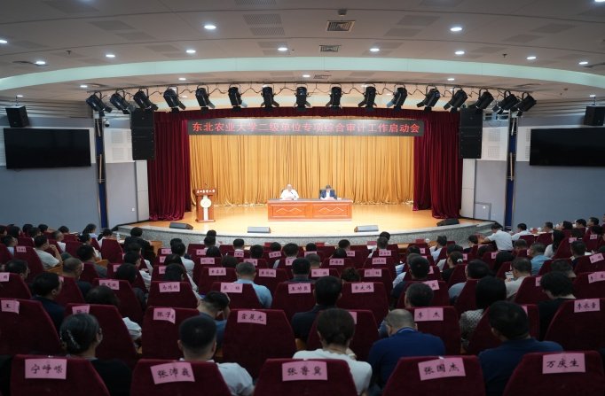 审计委员会主任