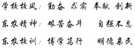 总体是星空体育app官网入口正式成为