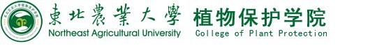 星空体育app官网入口